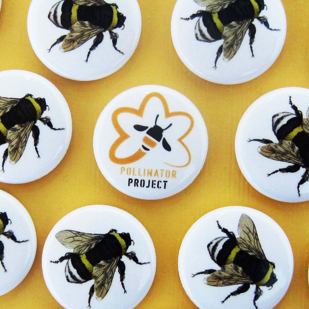 pollinator project