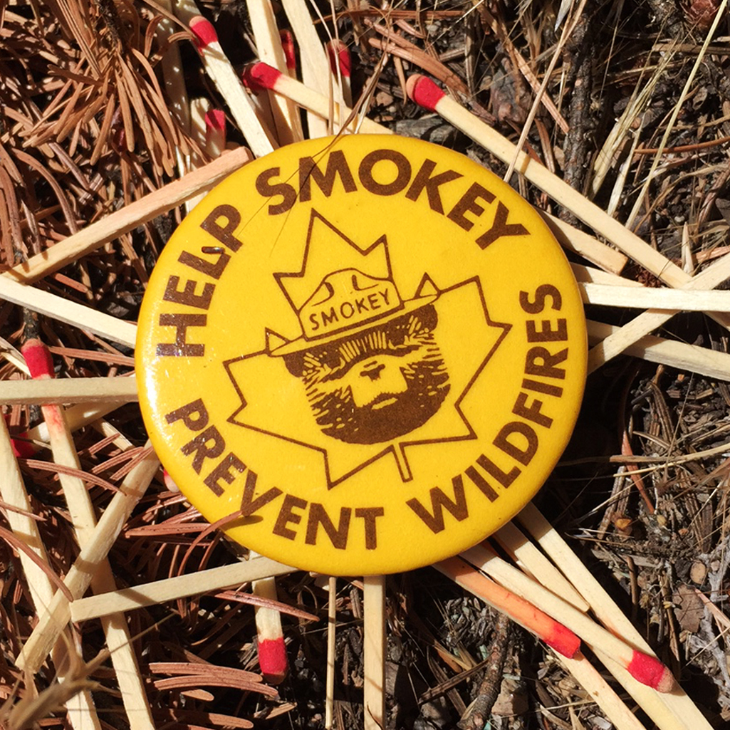 smokey the bear