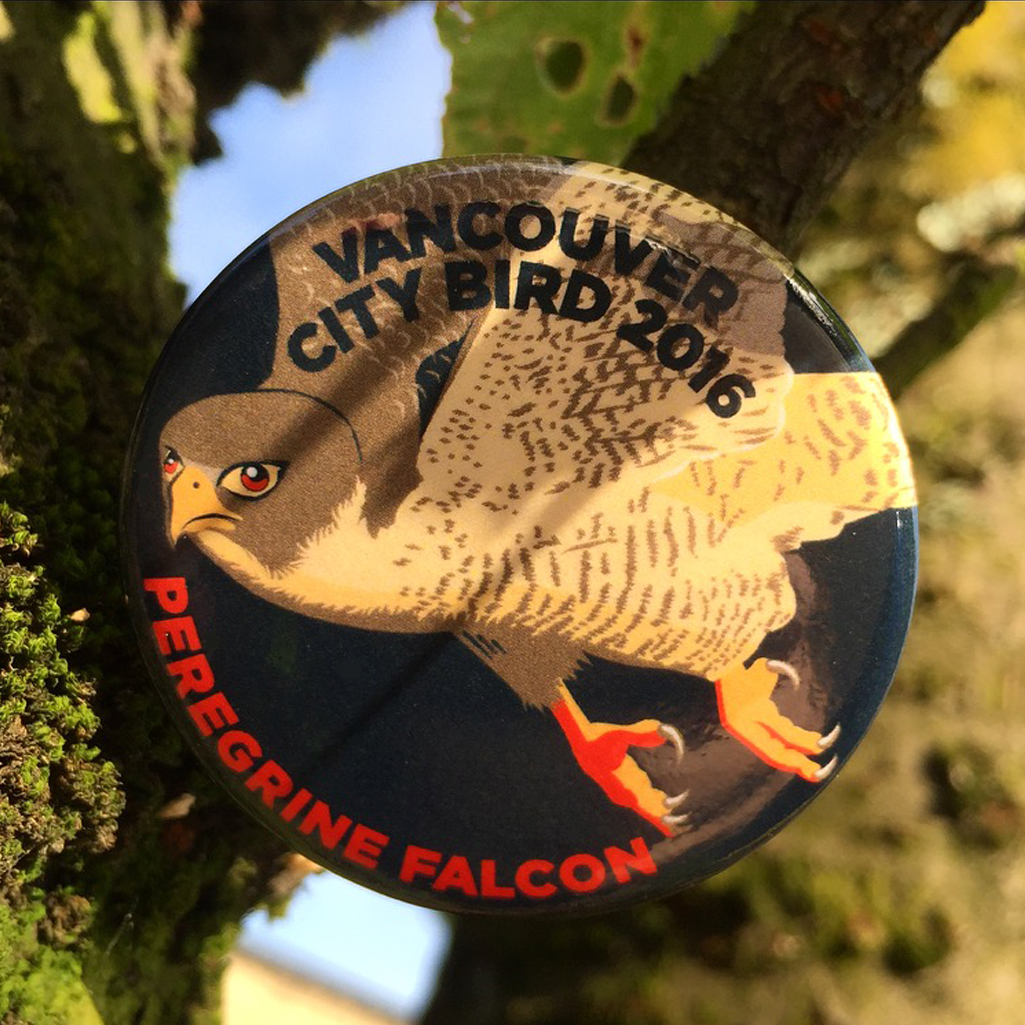 Vancouver City Bird